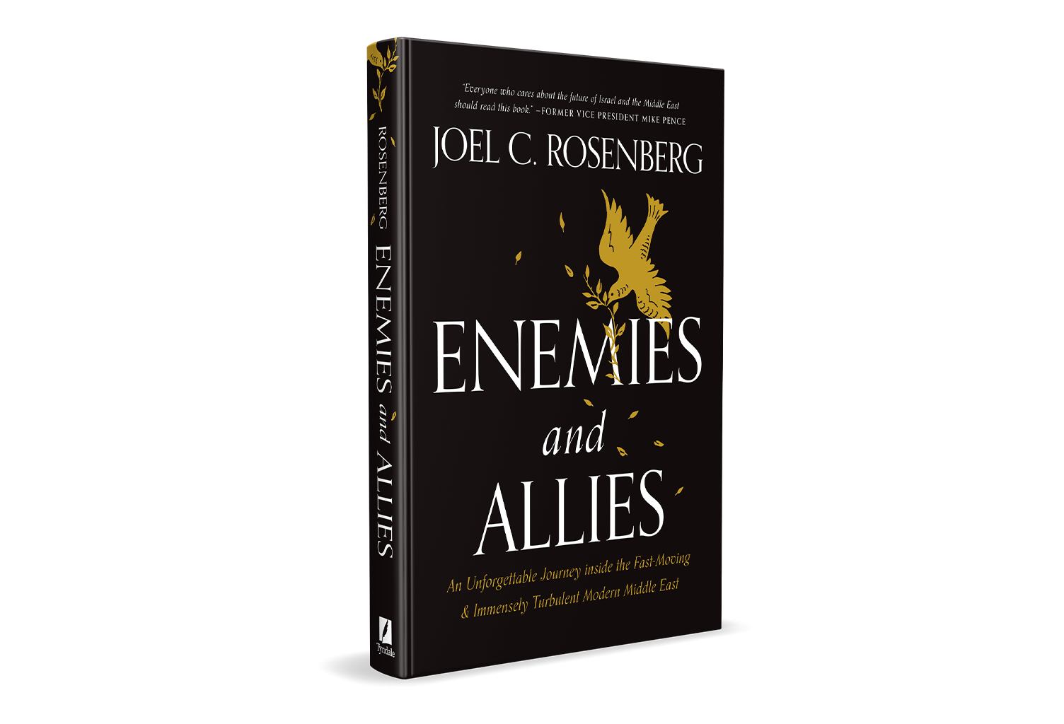 Enemies and Allies: An Unforgettable Journey Inside the Fast-Moving & Immensely Turbulent Modern Middle East by Joel Rosenberg on TBN