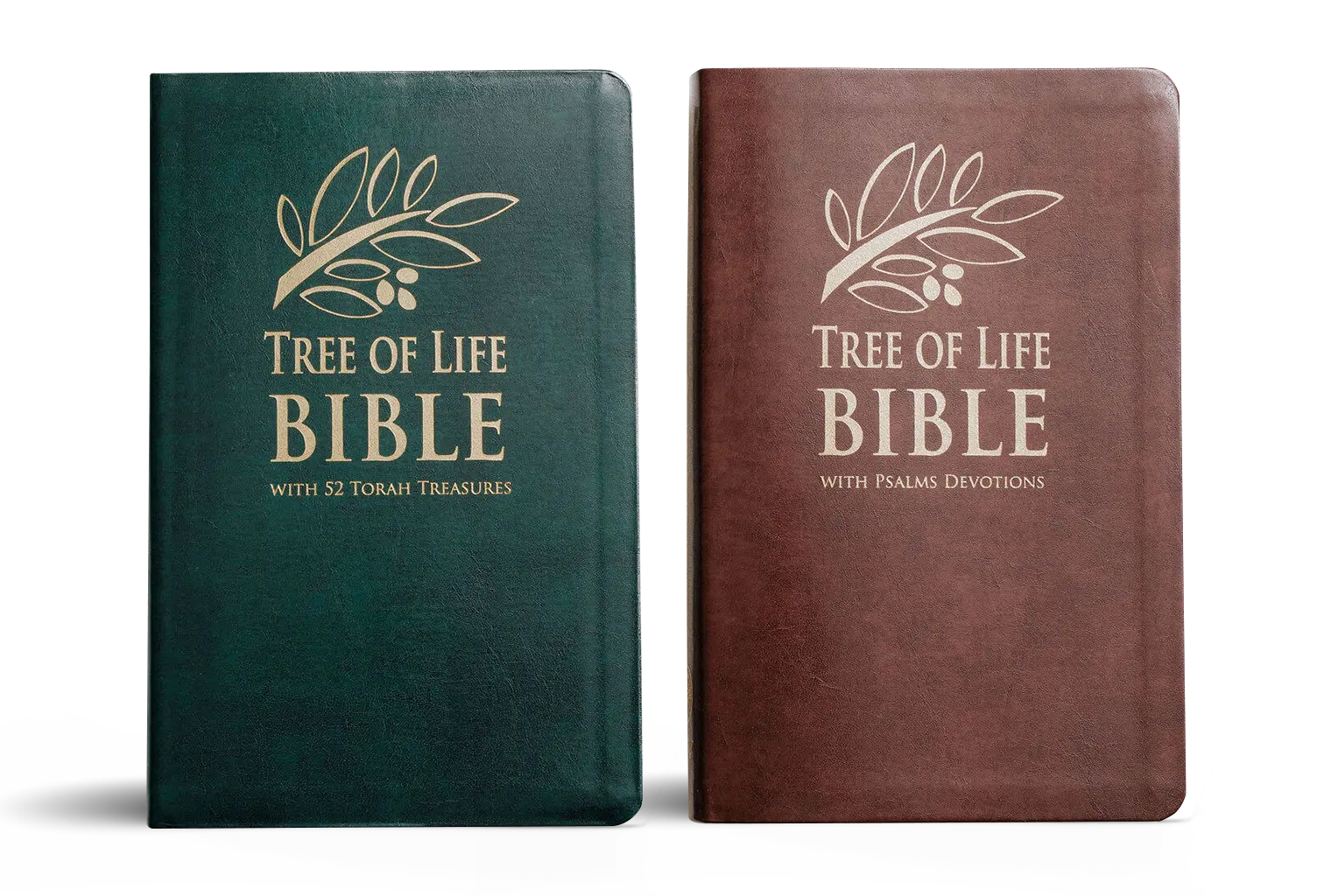 Tree of Life Bible by Daniah Greenberg from TBN