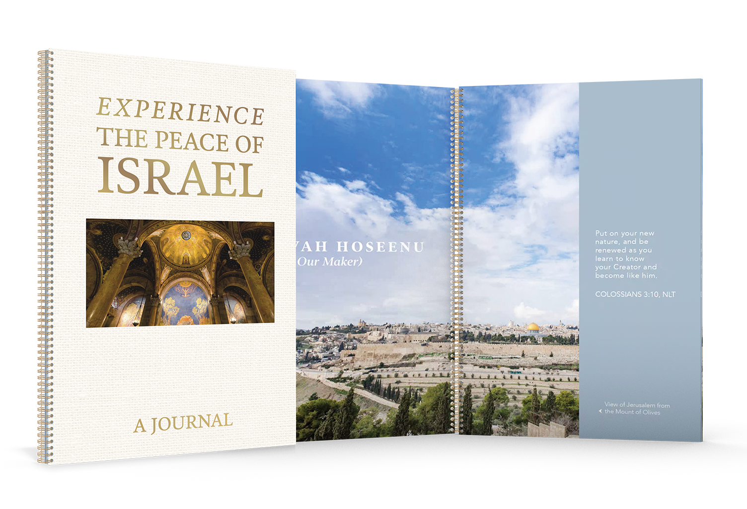 Receive the Experience the Peace of Israel: A Journal from TBN