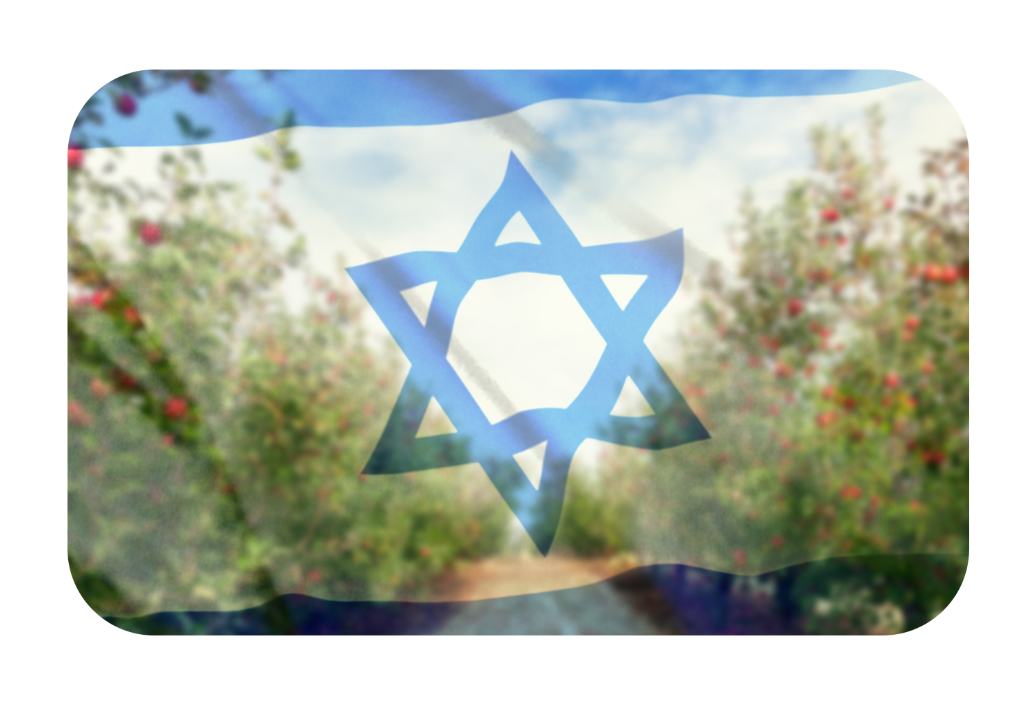  Help us Rebuild Israel - TBN Israel
