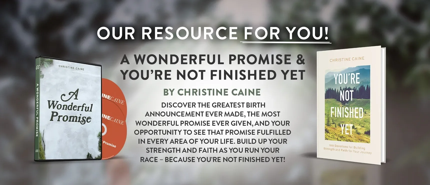 A Wonderful Promise + You're Not Finished Yet by Christine Caine