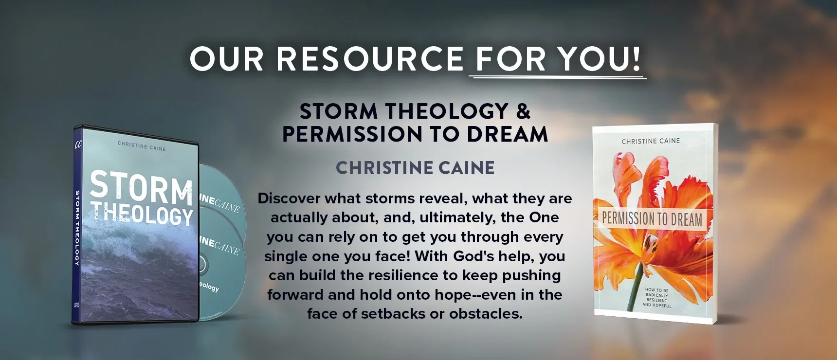 Storm Theology + Permission to Dream by Christine Caine